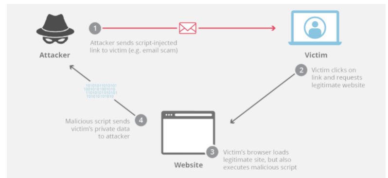 Cross Site Scripting