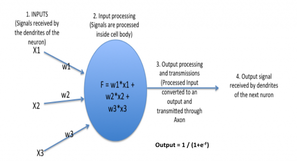 Neural Network