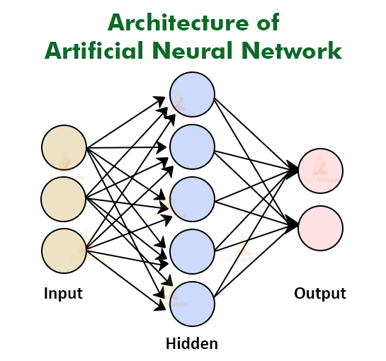 Neural Network